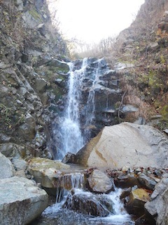 c0359615_20420325.jpg