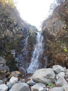 c0359615_20425380.jpg