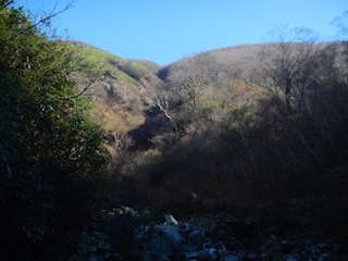 c0359615_20432292.jpg