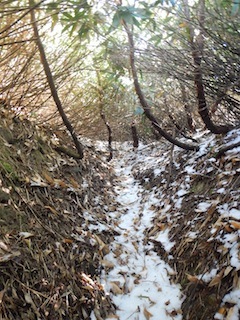 c0359615_20440873.jpg