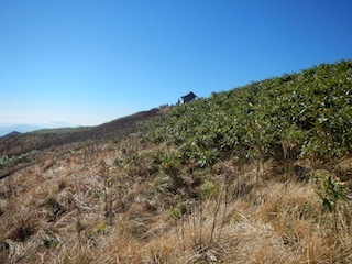 c0359615_20442460.jpg