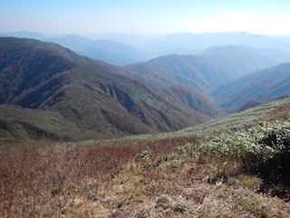 c0359615_20450383.jpg