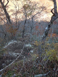 c0359615_20454782.jpg