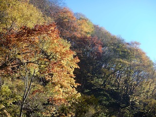 c0359615_22015833.jpg