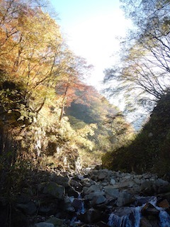 c0359615_22042054.jpg