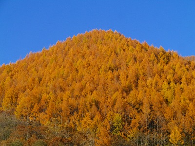 a0353718_19275177.jpg