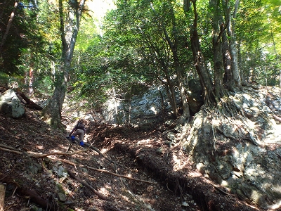 f0193521_8423013.jpg