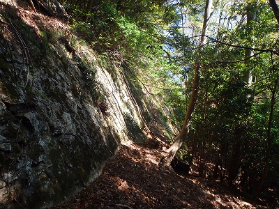 f0193521_845825.jpg