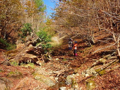 f0193521_874244.jpg