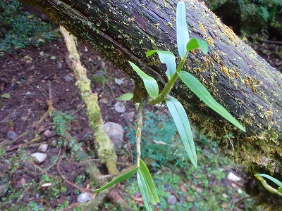 f0193521_9111040.jpg