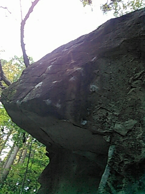 d0288435_20532800.jpg