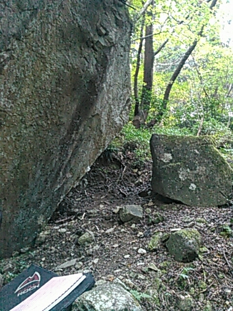 d0288435_20533001.jpg