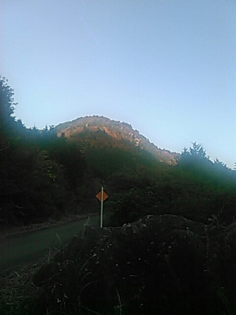 d0288435_20533370.jpg