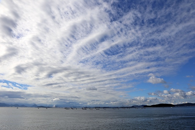 a0242438_20414945.jpg