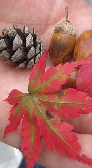 c0225143_1455788.jpg