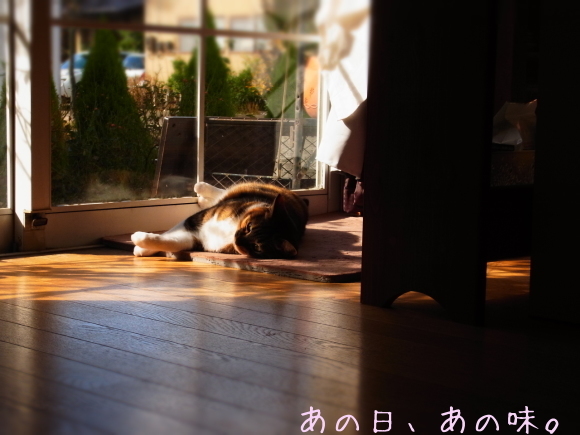 a0305046_10501770.jpg