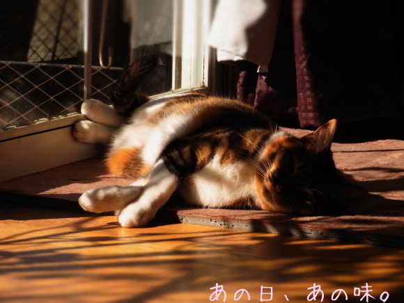 a0305046_10504036.jpg