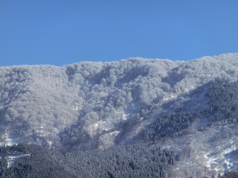 f0367148_06113218.jpg