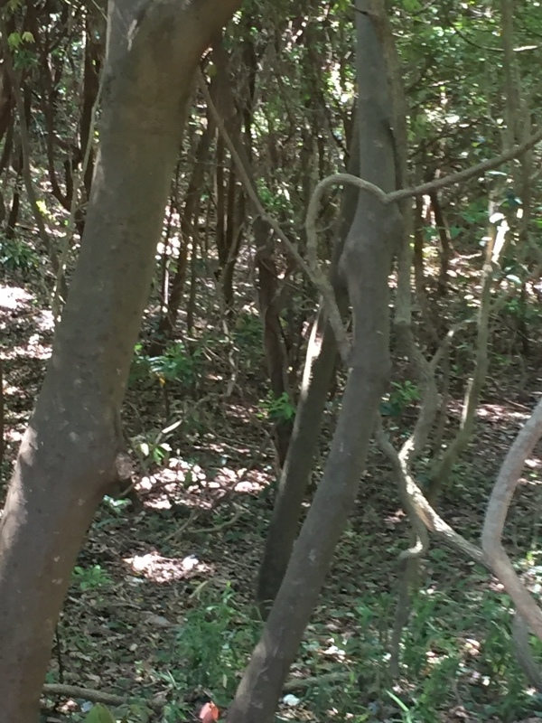 b0364549_06123247.jpg