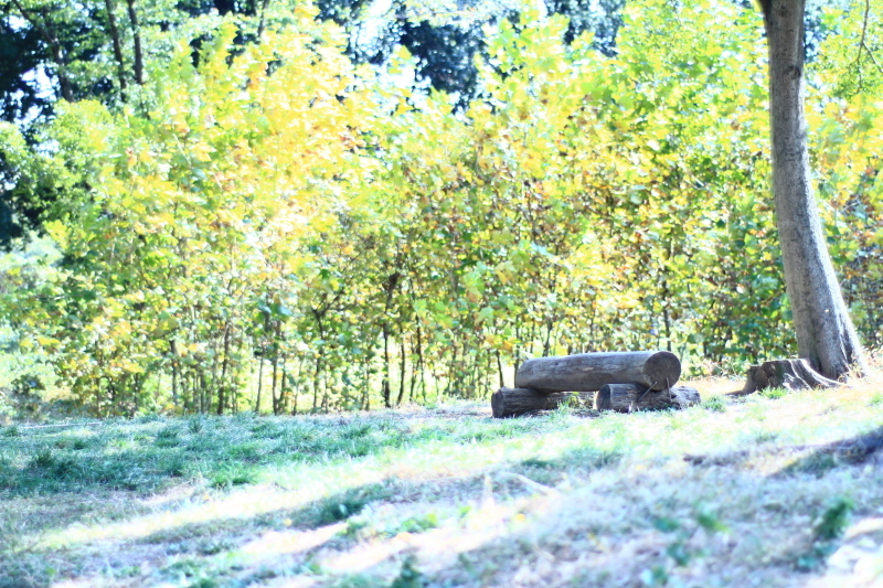 c0261349_20481827.jpg