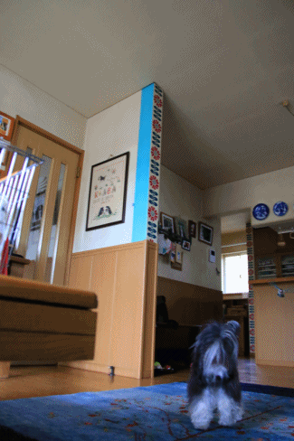 c0145250_11544352.gif