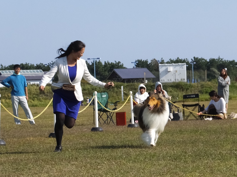f0091250_1434667.jpg