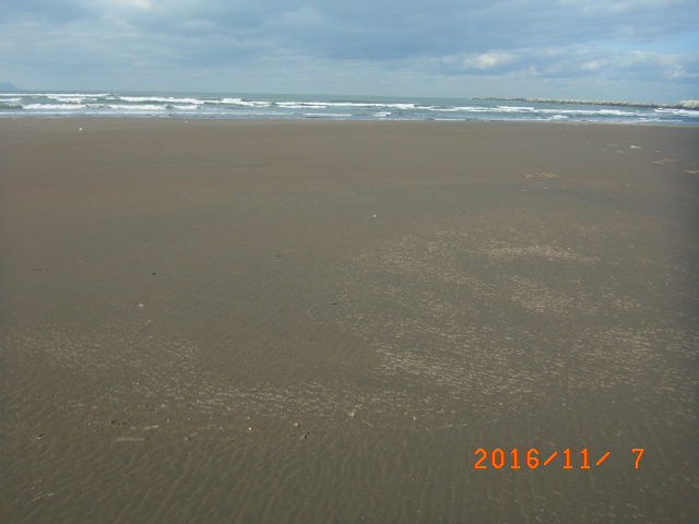 a0157451_19545177.jpg