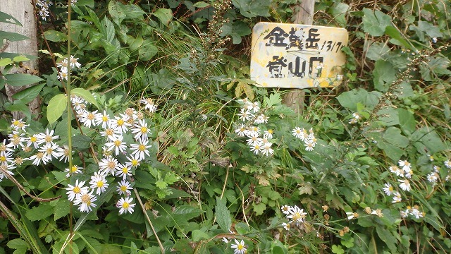 c0097754_11363898.jpg