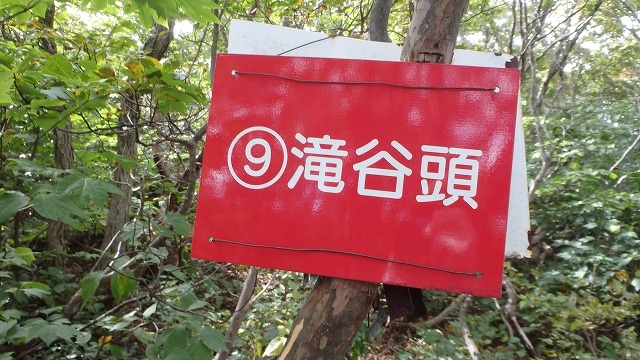 c0097754_11452180.jpg