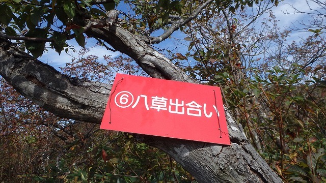c0097754_11503879.jpg