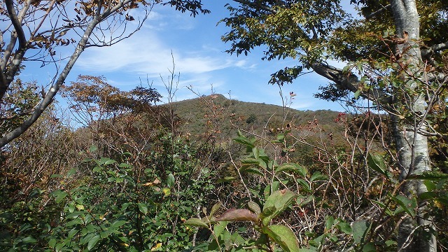c0097754_11532026.jpg