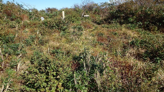 c0097754_12010588.jpg