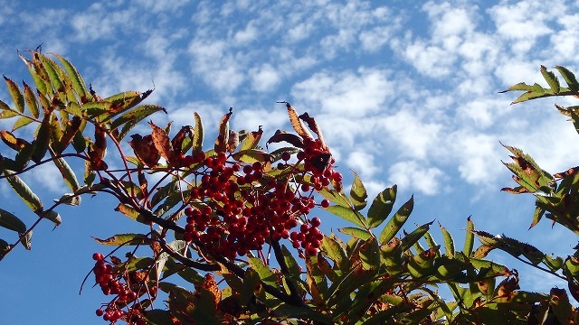 c0097754_12032841.jpg