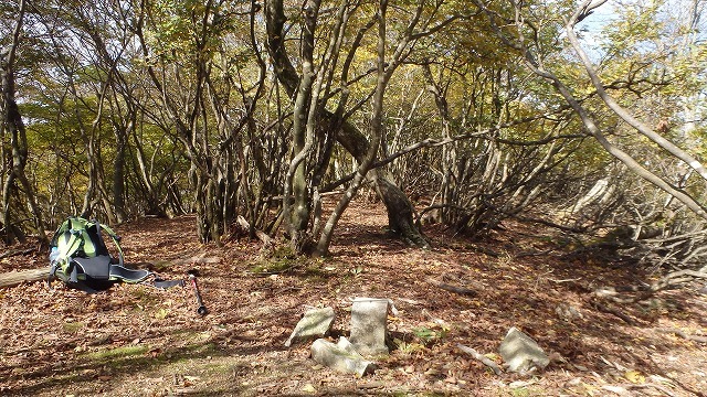 c0097754_21413997.jpg