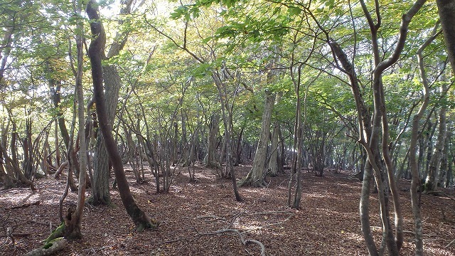 c0097754_21471687.jpg