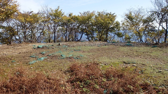 c0097754_21491736.jpg