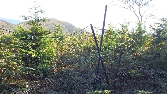 c0097754_22394011.jpg