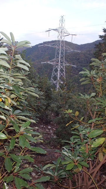 c0097754_22423191.jpg