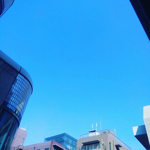 e0137561_1383081.jpg