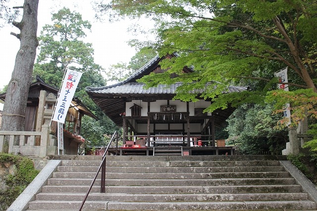 b0044663_2042357.jpg