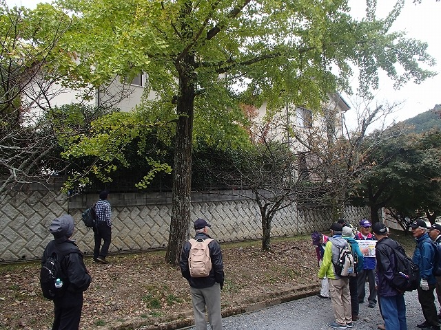 b0044663_20464080.jpg