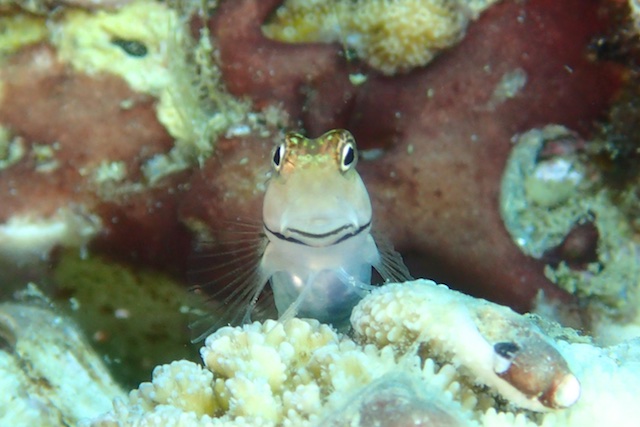 b0062363_1701634.jpg