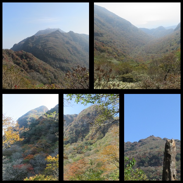 c0042869_537657.jpg