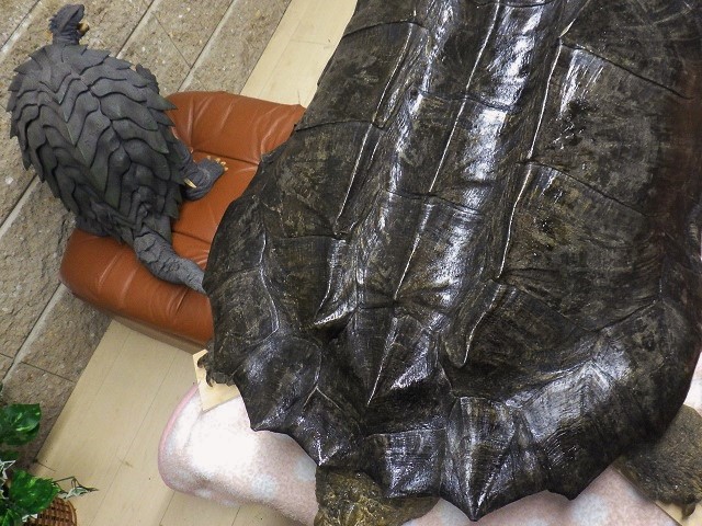 c0105569_0414853.jpg