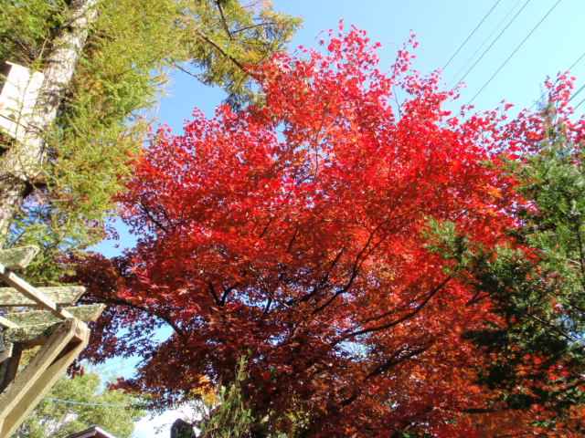 c0156371_1061379.jpg
