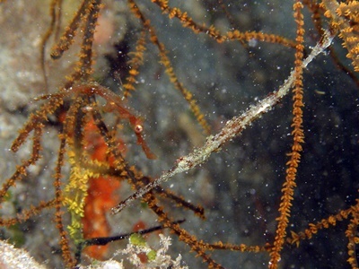 b0033573_21535476.jpg