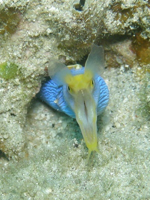 b0033573_21550750.jpg
