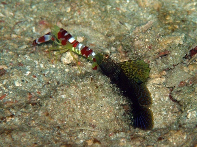 b0033573_21552493.jpg