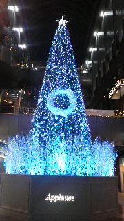 a0159974_8143539.jpg