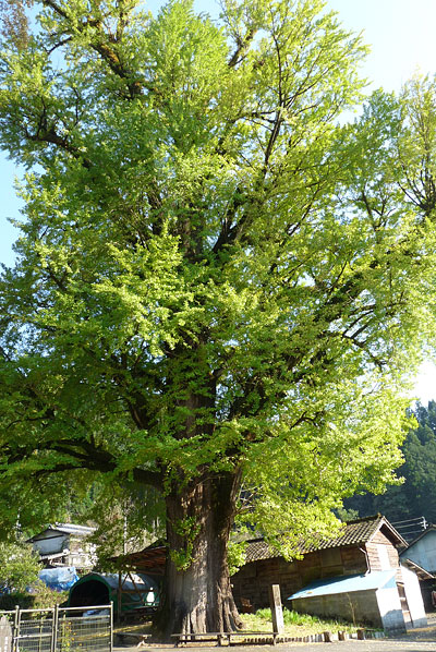 c0152779_13313926.jpg